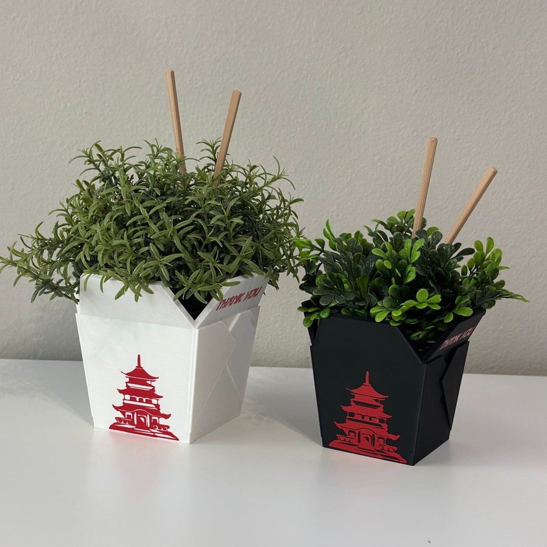 Discover Our Chinese Takeout Planter Collection – Perfect for Small Indoor Plants