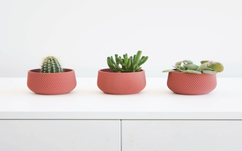 Discover Our Chinese Takeout Planter Collection – Perfect for Small Indoor Plants