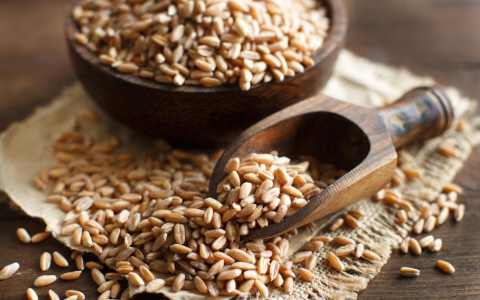 Top 8 Gluten-Free Grains： Health Benefits and Uses