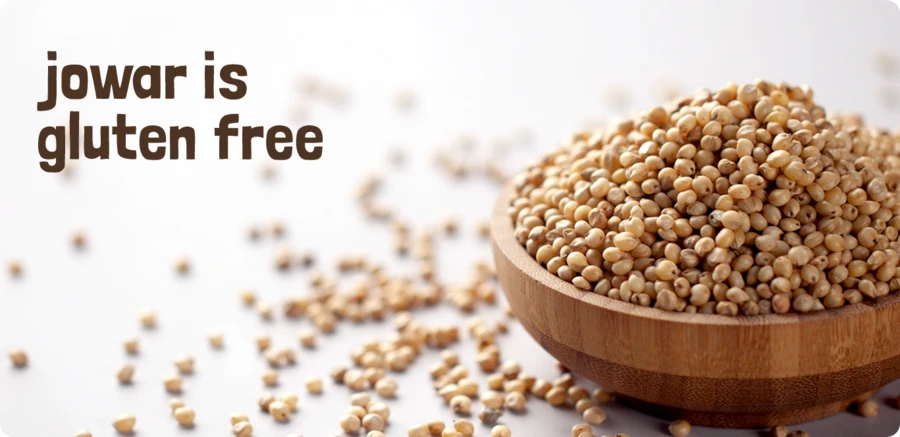 Is Jowar Gluten-Free？ Discover the Benefits of Sorghum!