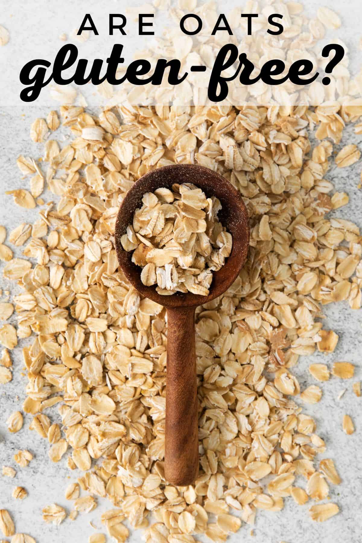 Is Oats Gluten-Free? What You Need to Know