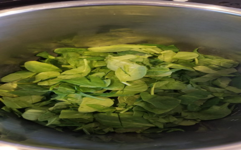 Exploring the Authentic Kashmiri Steamed Nadru with Lotus Stem