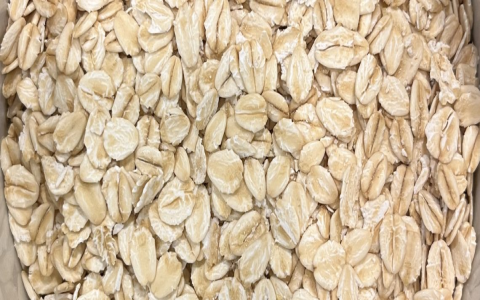 Is Oats Gluten-Free? What You Need to Know