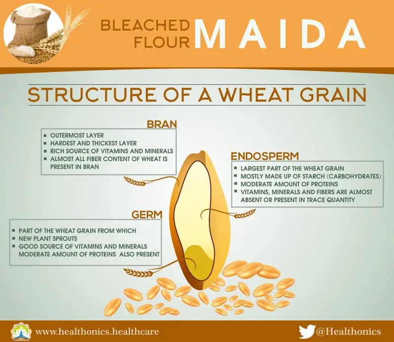 Is Maida Safe for Gluten-Free Diets? Understanding Maida and Gluten