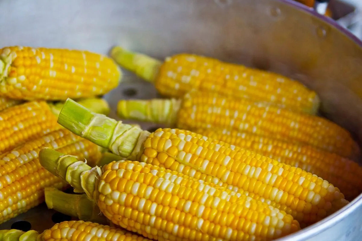 Is Corn Naturally Gluten-Free? Myths vs Facts