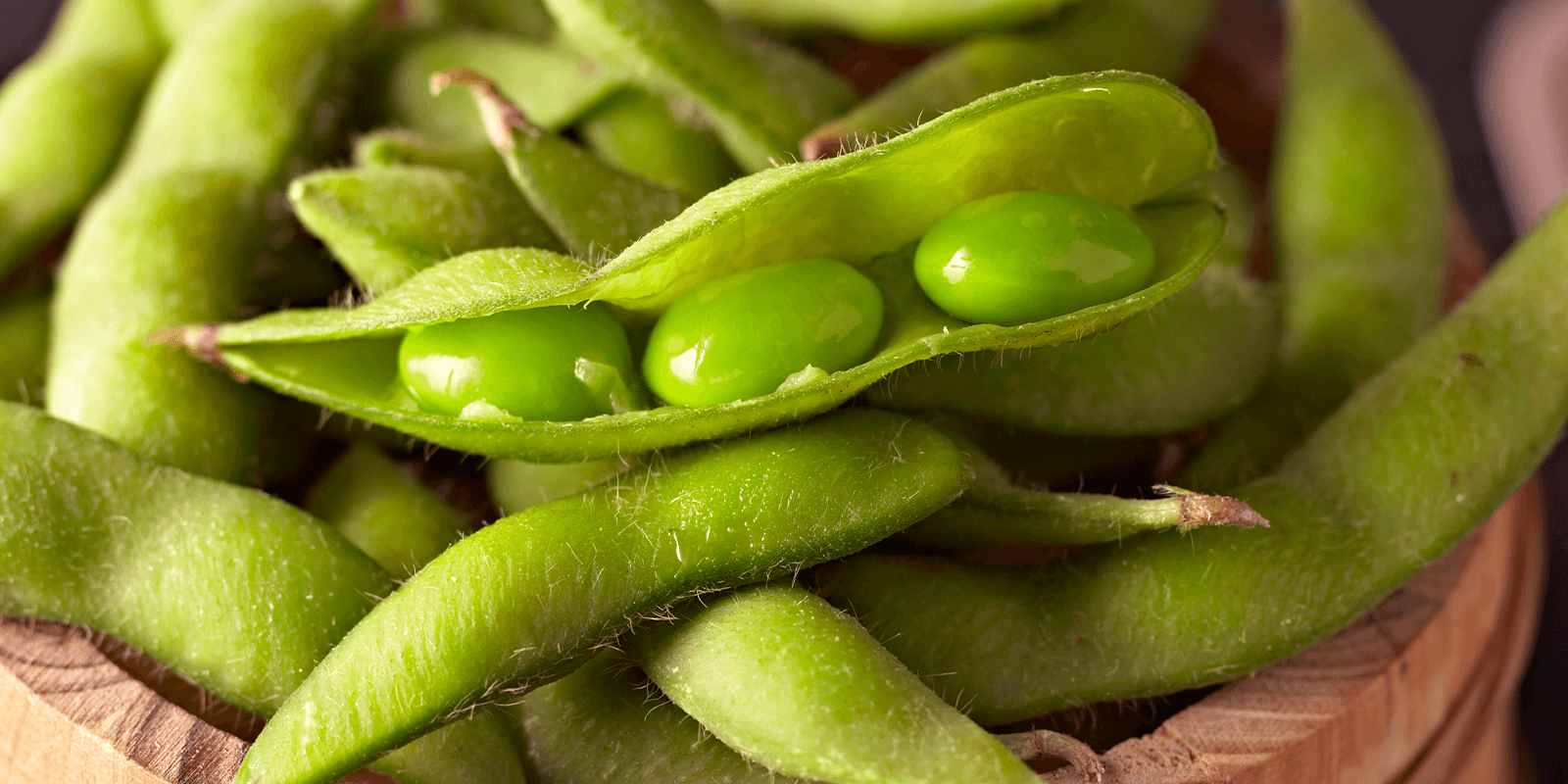 How Edamame Dim Sum Combines Flavor and Health in Every Bite