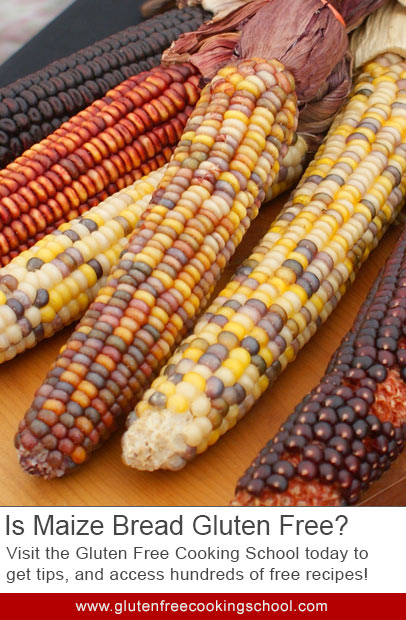 Is Maize Gluten-Free? What You Need to Know