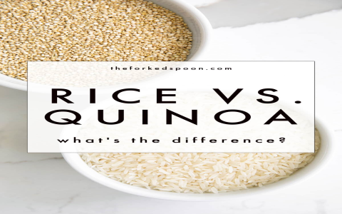 Is Quinoa Gluten-Free? Discover the Truth About This Superfood