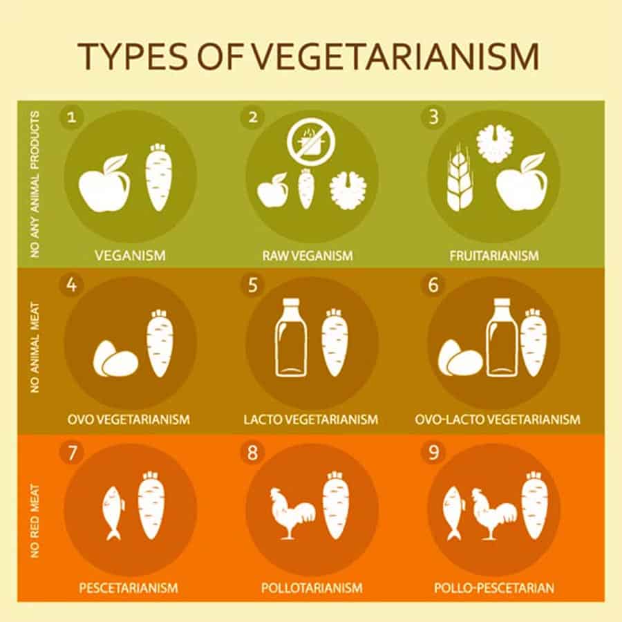 Exploring Vegetarian Diets: Types and Nutritional Benefits