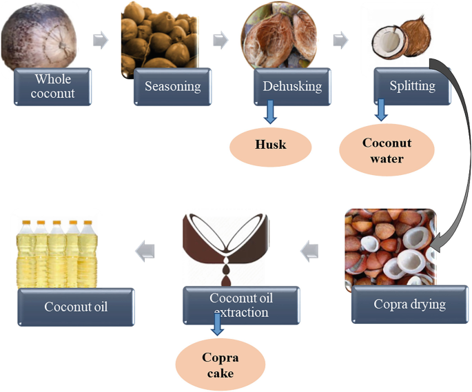 The Role of Chemicals in Dehusked Coconut Preservation and Treatment