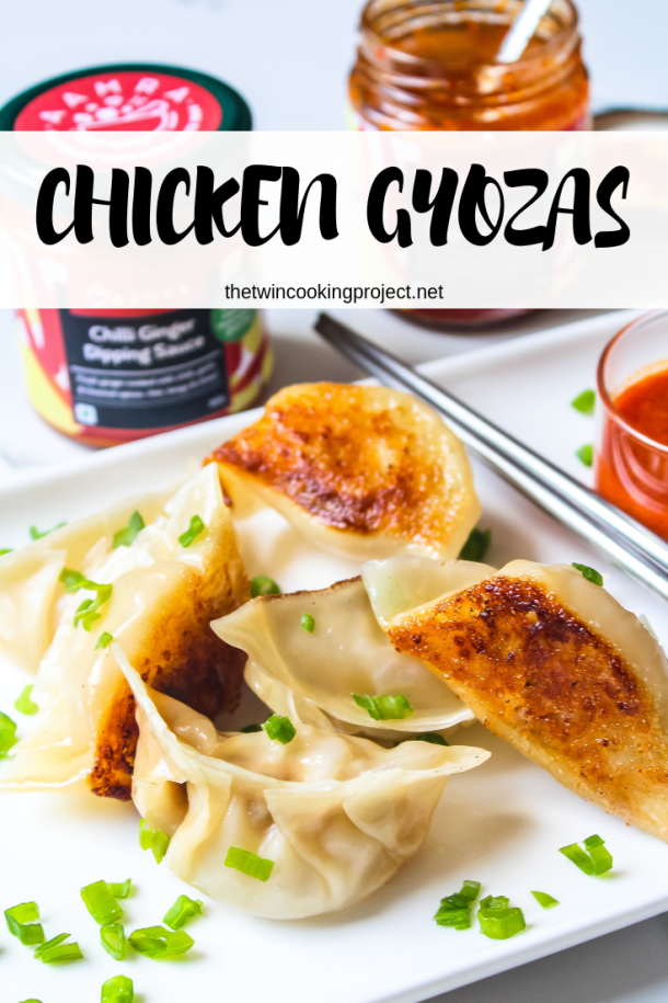 Chicken Gyoza Dim Sum: Easy and Delicious Recipe for Homemade Dumplings