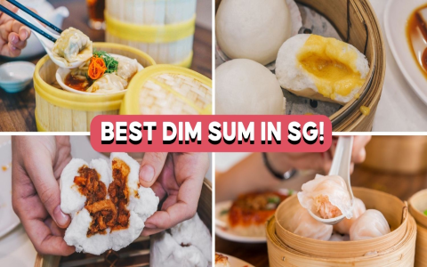 Where to Find the Best Dim Sum in Shanghai: Top Picks for 2024