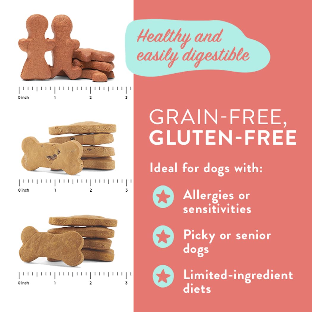 Natural and Healthy Gluten-Free Dog Treats for Food Sensitivities