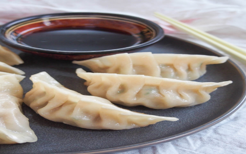 Make Awesome Deep Fried Dumplings Dim Sum at Home Like a Pro!