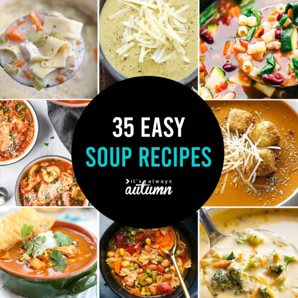 Quick Easy Homemade Soup: Healthy and Delicious Family Meals