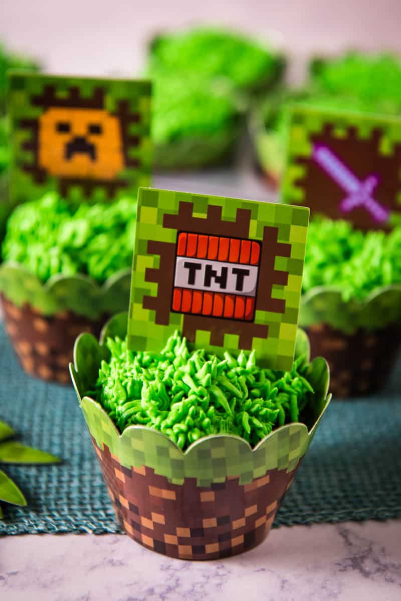 Best Minecraft Party Food: Creeper Cupcakes & TNT Sandwiches