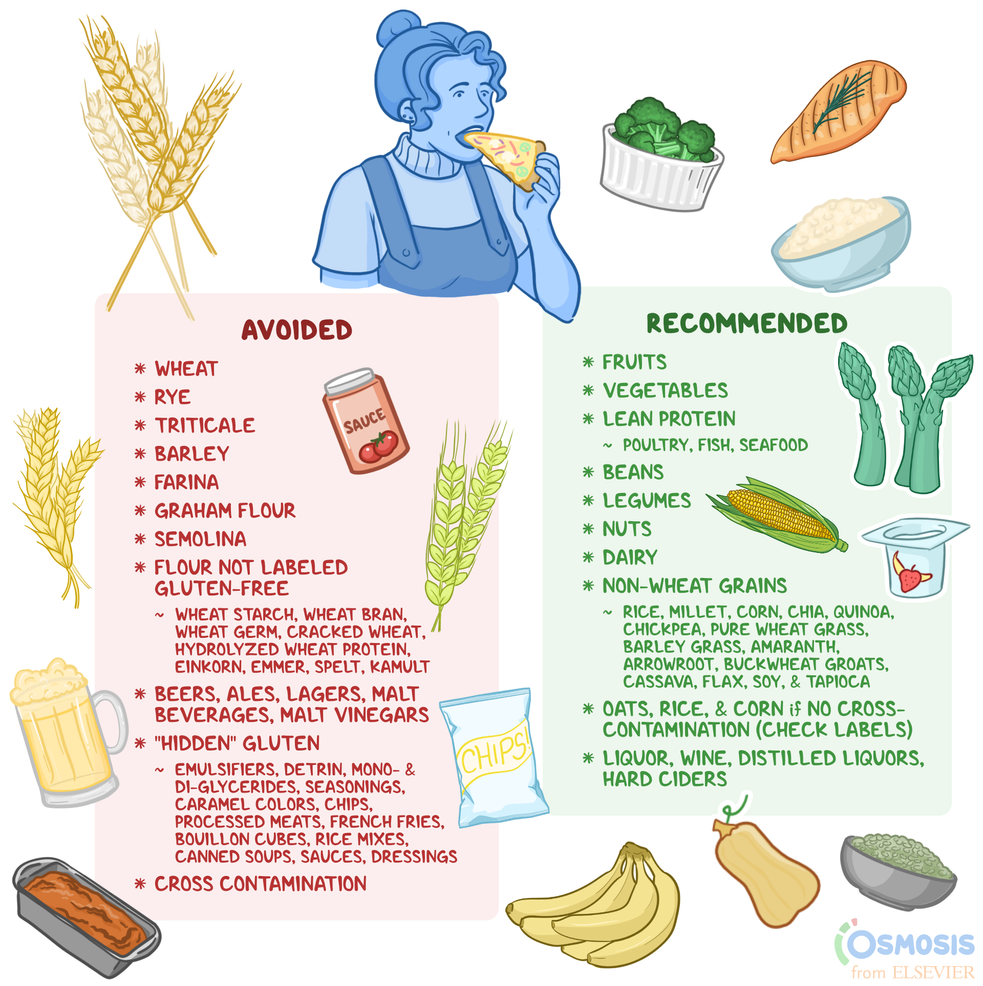 Celiac Disease & Gluten Free Diet: What You Need to Know