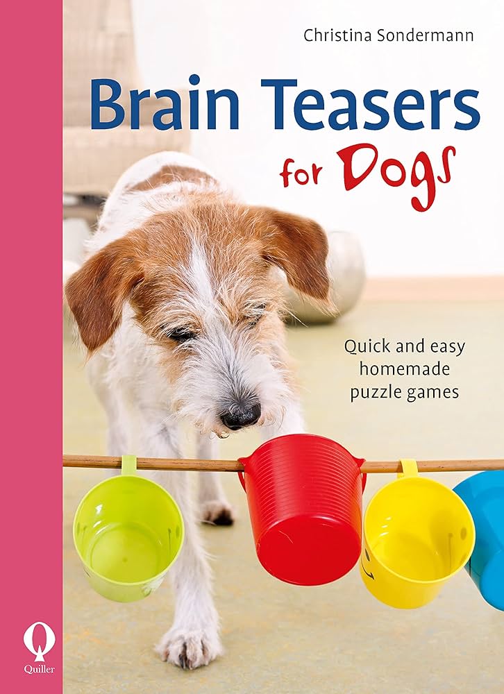 Homemade Puzzle Games for Dogs: Brain Teasers That Are Quick and Easy (Entertain Your Dog With These Simple Puzzles)