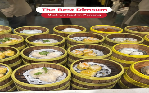 Dim Sum Haus Review: Is It Worth the Hype? (Honest Opinions from Real Customers)