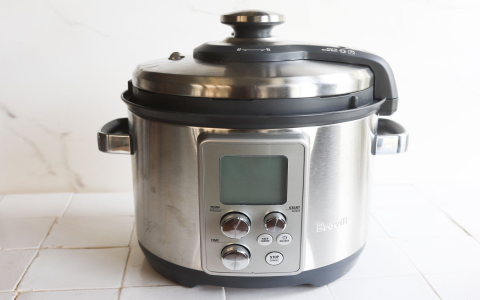 Gas Dim Sum Steamer Buying Guide: Top Picks for You